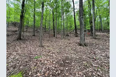 387 Windflower Drive, Big Canoe, GA 30143 - Photo 1