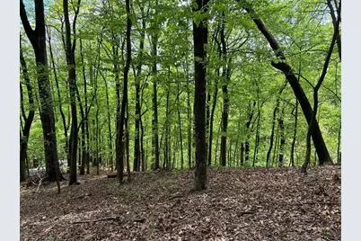 0 Valley View Drive, Jasper, GA 30143 - Photo 6