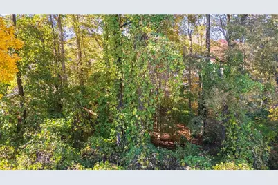 5904 Basswood Cove, Buford, GA 30518 - Photo 12