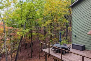 102 Jack Pine Ct, Waleska, GA 30183 - Photo 44