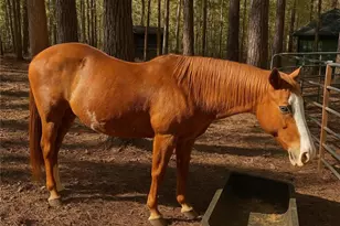 486 Sweetwater Bend, Villa Rica, GA 30180 - Photo 16