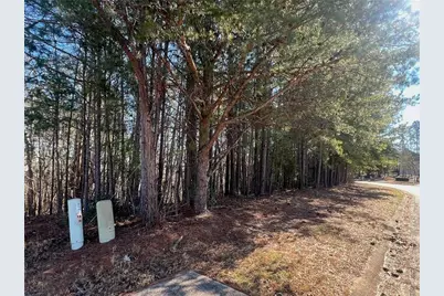924 Whistler Lane, Canton, GA 30114 - Photo 8