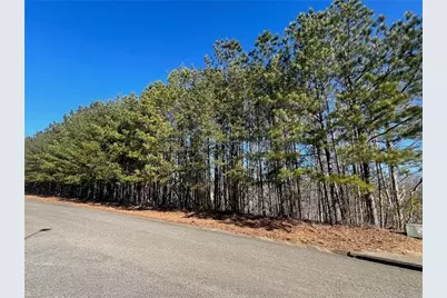 920 Whistler Lane, Canton, GA 30114 - Photo 2