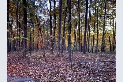 1344 Hunter Drive, Ranger, GA 30734 - Photo 8