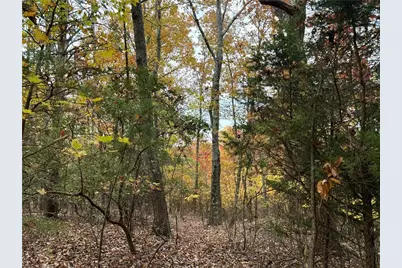 1345 Hunter Drive, Ranger, GA 30734 - Photo 8