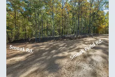 176 Smoak Field Road, Griffin, GA 30223 - Photo 6