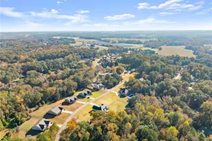 95 Lola St, Colbert, GA 30628 - Photo 50