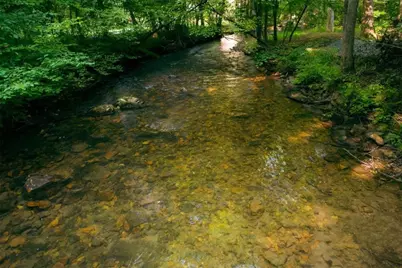 184 Rockhouse Road, Cherry Log, GA 30522 - Photo 8