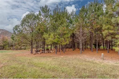 0 Dodson Road, Cartersville, GA 30120 - Photo 10