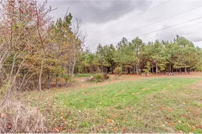 0 Dodson Road, Cartersville, GA 30120 - Photo 8