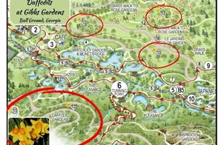 4085 Sierra Vis Cir, Cumming, GA 30040 - Photo 36