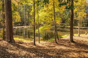 1012 Stone Creek Ln, Monroe, GA 30655 - Photo 44