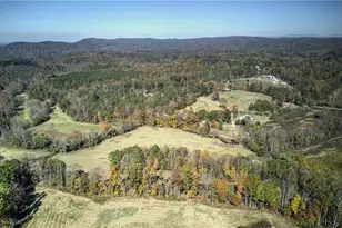 715 E Cochran Rd SE, Ranger, GA 30734 - Photo 2