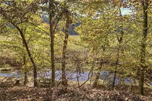 715 E Cochran Rd SE, Ranger, GA 30734 - Photo 10