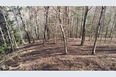 202 Indian Trail, Dahlonega, GA 30533 - Photo 4