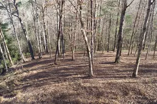 202 Indian Trail, Dahlonega, GA 30533 - Photo 4