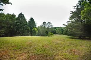 1402 Henderson Mountain Rd, Jasper, GA 30143 - Photo 70