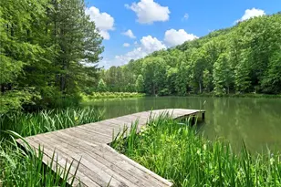 1402 Henderson Mountain Rd, Jasper, GA 30143 - Photo 64