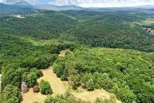 1402 Henderson Mountain Rd, Jasper, GA 30143 - Photo 22