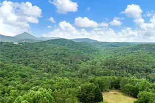 1402 Henderson Mountain Rd, Jasper, GA 30143 - Photo 24