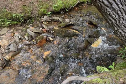 Lot 28 High Summit Drive, Talking Rock, GA 30175 - Photo 16