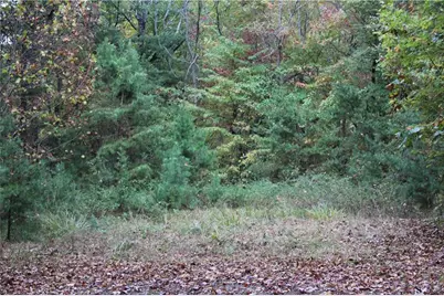 Lot 19 Owl Mountain Road, Ellijay, GA 30540 - Photo 12