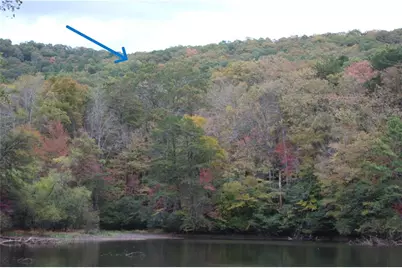 Lot 19 Owl Mountain Road, Ellijay, GA 30540 - Photo 1