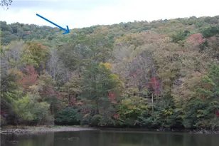 Lot 19 Owl Mountain Rd, Ellijay, GA 30540 - Photo 1