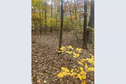 0 Lake Club Drive, Lavonia, GA 30553 - Photo 8