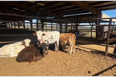 486 County Line Road, Resaca, GA 30735 - Photo 28