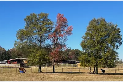 486 County Line Road, Resaca, GA 30735 - Photo 12