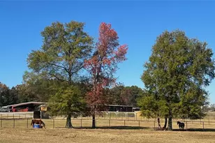 486 County Line Rd, Resaca, GA 30735 - Photo 12