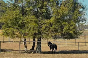 486 County Line Rd, Resaca, GA 30735 - Photo 34