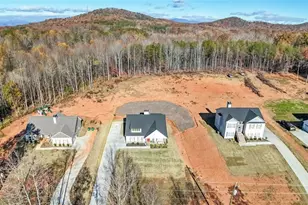 3039 Hwy 17, Clarkesville, GA 30523 - Photo 4