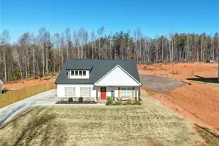 3039 Hwy 17, Clarkesville, GA 30523 - Photo 1