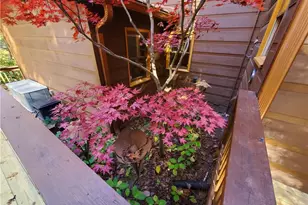 171 Mohawk Trail, Ellijay, GA 30540 - Photo 42