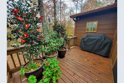 171 Mohawk Trail, Ellijay, GA 30540 - Photo 54