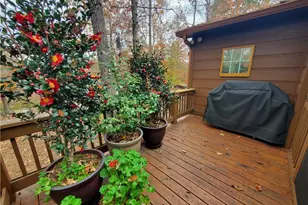 171 Mohawk Trail, Ellijay, GA 30540 - Photo 54
