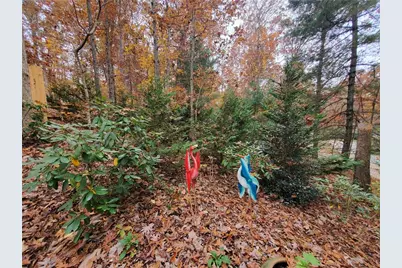 171 Mohawk Trail, Ellijay, GA 30540 - Photo 46