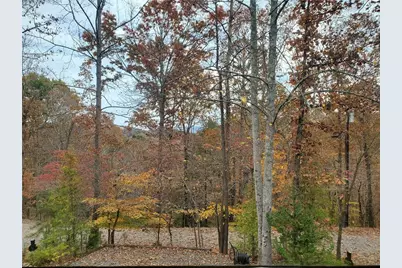 171 Mohawk Trail, Ellijay, GA 30540 - Photo 28