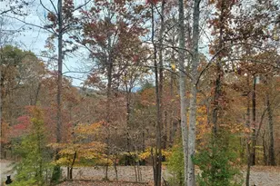 171 Mohawk Trail, Ellijay, GA 30540 - Photo 28