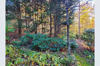 171 Mohawk Trail, Ellijay, GA 30540 - Photo 44