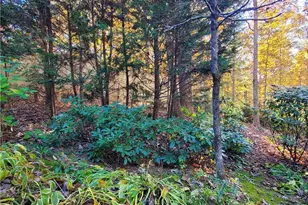 171 Mohawk Trail, Ellijay, GA 30540 - Photo 44