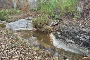 7567 Henderson Mountain Rd, Jasper, GA 30143 - Photo 14