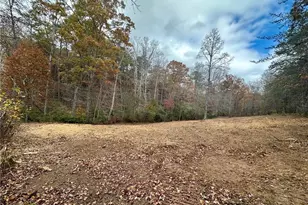 7567 Henderson Mountain Rd, Jasper, GA 30143 - Photo 10