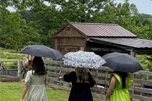 866 Sugar Valley Rd, Cartersville, GA 30120 - Photo 18