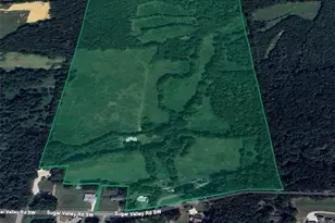 866 Sugar Valley Rd, Cartersville, GA 30120 - Photo 4