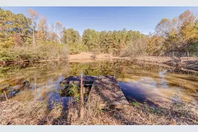 1288 Reavesville Road, Bowdon, GA 30108 - Photo 24