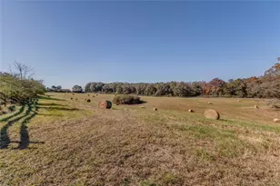 1288 Reavesville Rd, Bowdon, GA 30108 - Photo 34