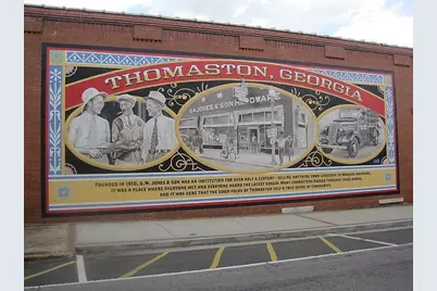 705 Triune Mill Road, Thomaston, GA 30286 - Photo 38